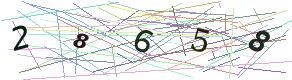 Codice di Accesso (numerico)